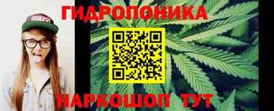 индика Волжск